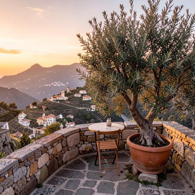 A shaded Mallorcan terrace with warm stone walls and wooden beams